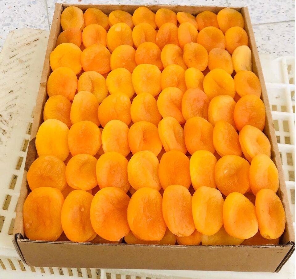 Jumbo Boy Naturel Sarı İslim Kayısı