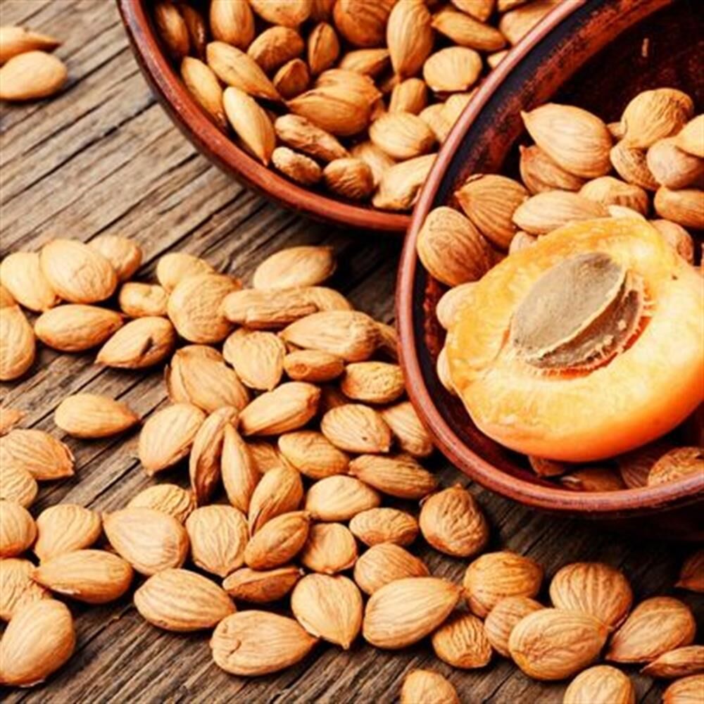 Çiğ Kayısı Çekirdeği – Doğal ve Besleyici Atıştırmalık